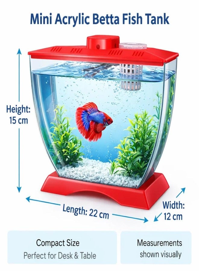 حوض أسماك بيتا صغير من الأكريليك من VAYINATO® مع حامل لأصيص نباتات | أكريليك شفاف | 22×12×15 سم | حوض نانو مكتبي لأسماك البيتا والأسماك الصغيرة | آمن للأطفال، مناسب للمبتدئين | لون عشوائي - Image 3